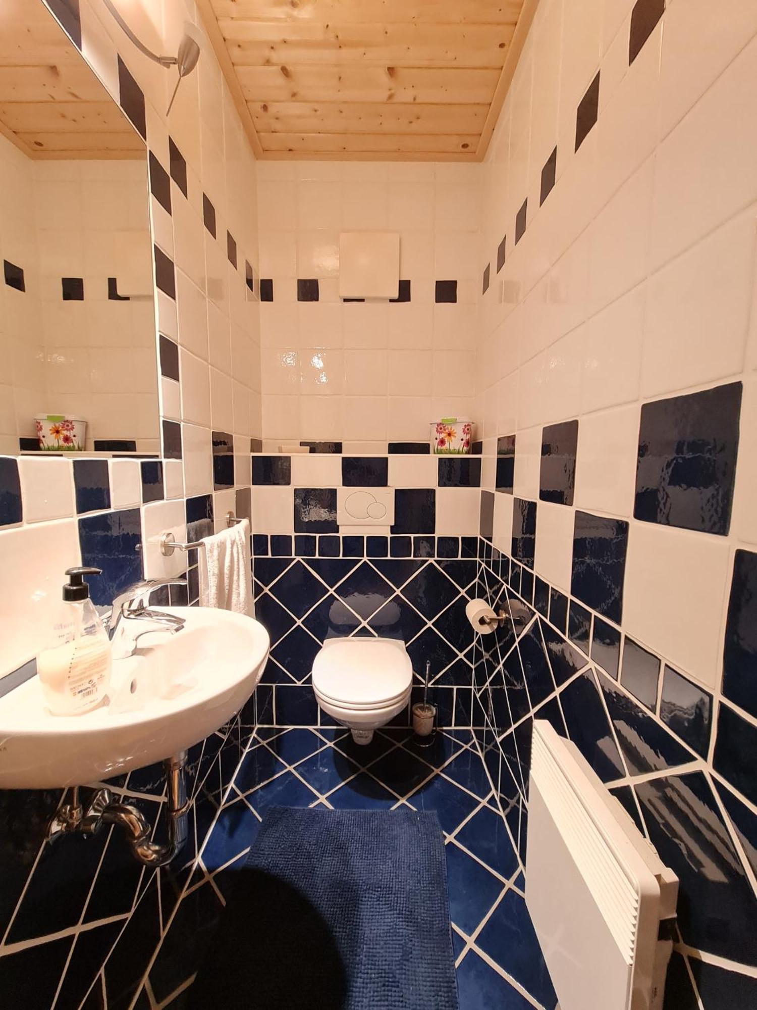 Haus Camilla By Globalimmoservice Apartment Bad Kleinkirchheim